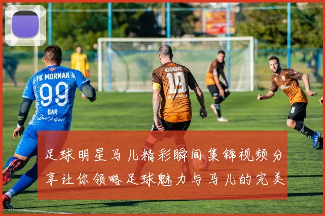 足球明星马儿精彩瞬间集锦视频分享让你领略足球魅力与马儿的完美结合